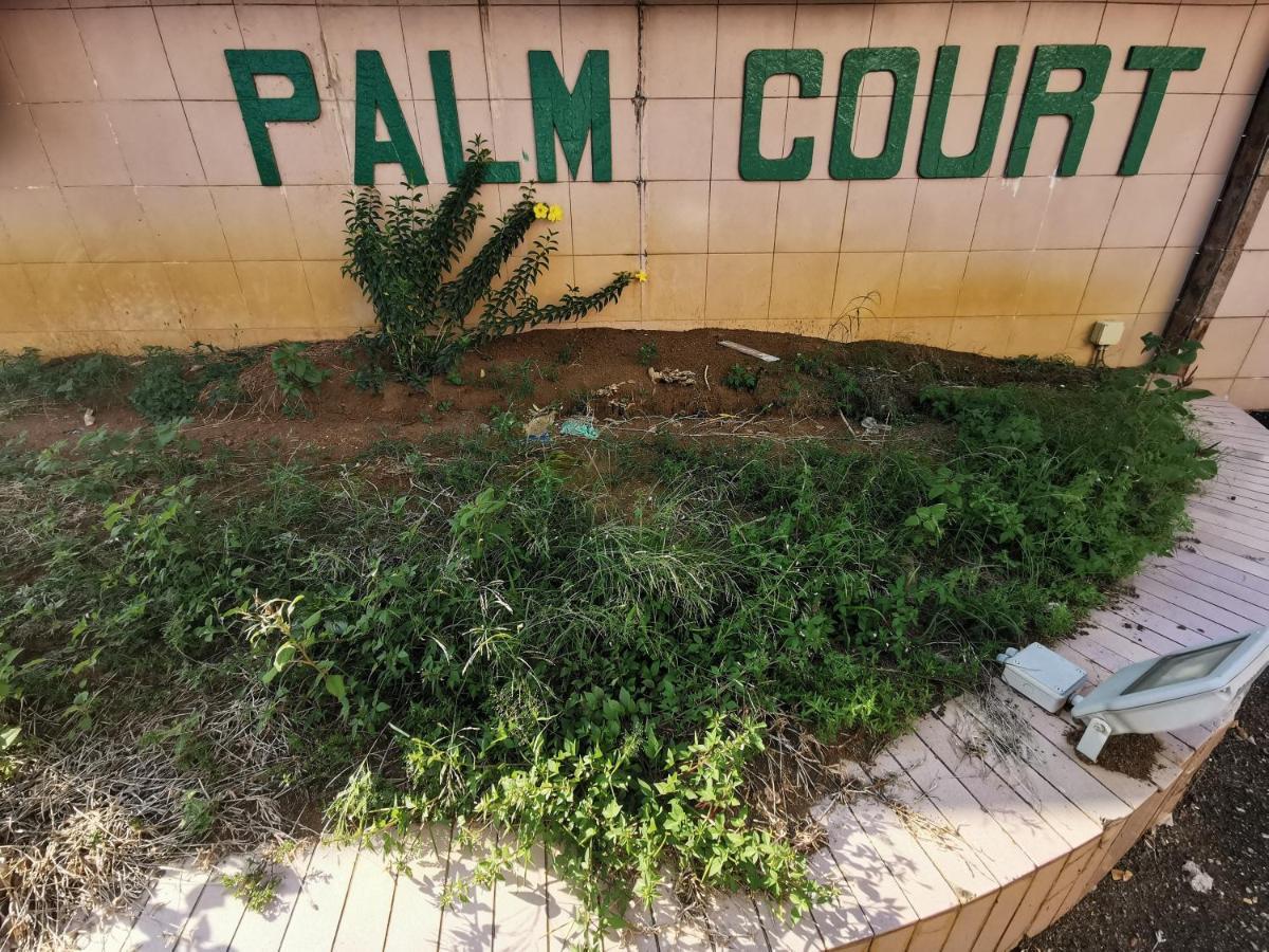 Diy Palm Court Bedroom Kuantan Esterno foto
